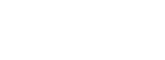 Leadership Skills Foundation logo