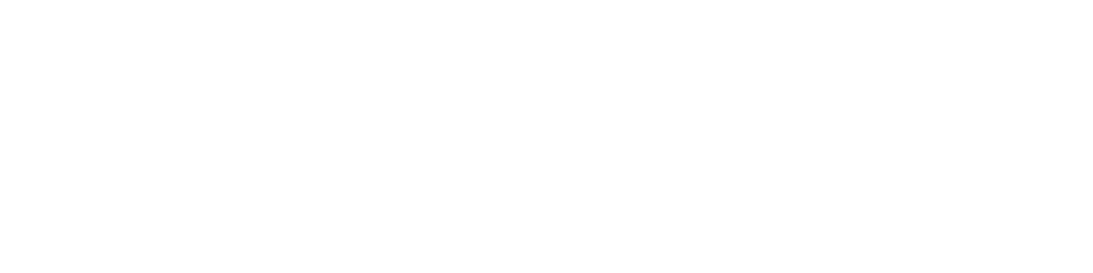 Leadership Skills Foundation logo