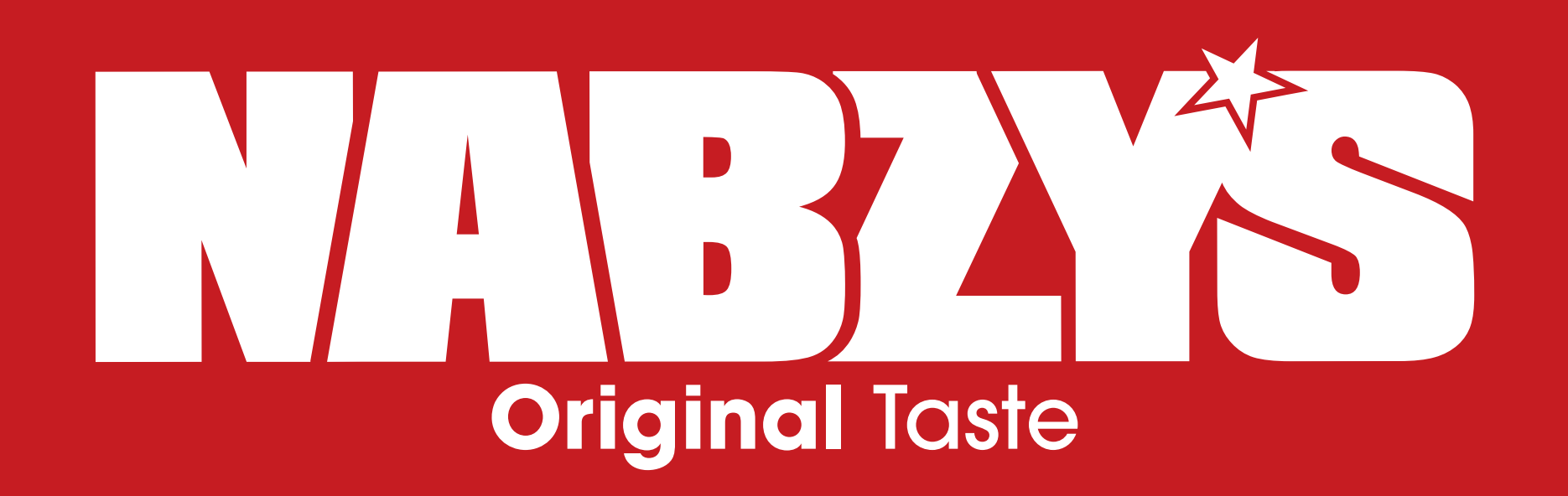 nabzys logo